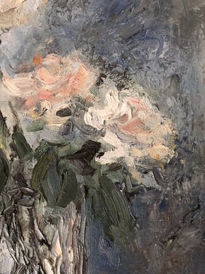 Maddy Rive - Rozen in vaas kopen? Bied vanaf 30!