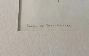 Enno Brokke - Langs de Barendszee kopen? Bied vanaf 25!