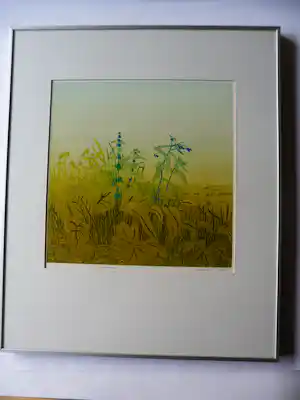 Henk Kastelijn - Ets, Titel, Heuveltop. verkauft für € 40!