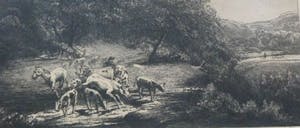 Jac. J. Koeman - Vee bij een beek in boslandschap kopen? Bied vanaf 40!