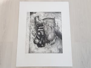 Jan Prins - Prachtige Ets - Gesigneerd in potlood kopen? Bied vanaf 1!