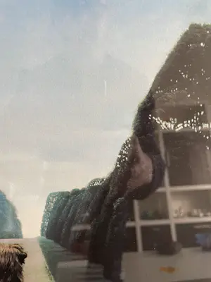 Carel Willink - mooie grote zeefdruk kopen? Bied vanaf 345!