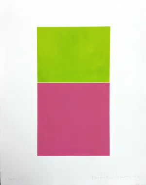 Maria Wallenstål-Schoenberg - Color Contrasts 4 kopen? Bied vanaf 180!