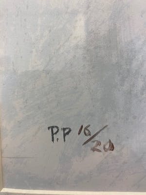 Nico Molenkamp - Vogel kopen? Bied vanaf 50!