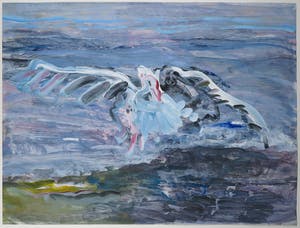 Kees van Bohemen - Acryl op papier, Meeuw - Ingelijst (Groot) kopen? Bied vanaf 2000!