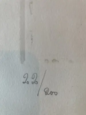 Arthur Spronken - Paard kopen? Bied vanaf 25!