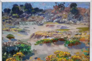 Simon de Heer - Sint Jacobskruid kopen? Bied vanaf 200!