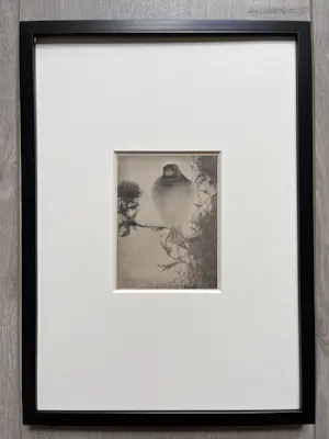 Jan Mankes - Originele Heliogravure Puttertje op Tak 1923 kopen? Bied vanaf 135!