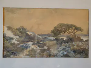 Adam Potgieter - Aquarel - Duinlandschap kopen? Bied vanaf 125!