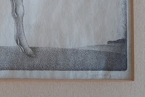 Jan Wittenberg - veulen kopen? Bied vanaf 25!