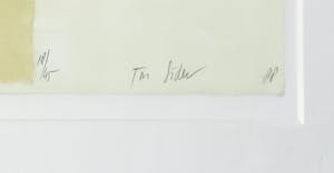 Ton Soder - Litho, Zonder titel - Ingelijst kopen? Bied vanaf 1!