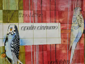 Theo Bitter - Opalin cinnamo kopen? Bied vanaf 30!