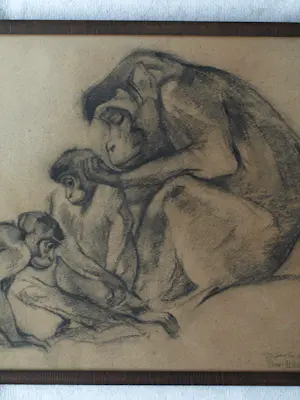 Tini van Doornik - Ingelijste houtskooltekening , Drie apen – 1930 – Lijst, 41½ x 57½ cm. kopen? Bied vanaf 100!
