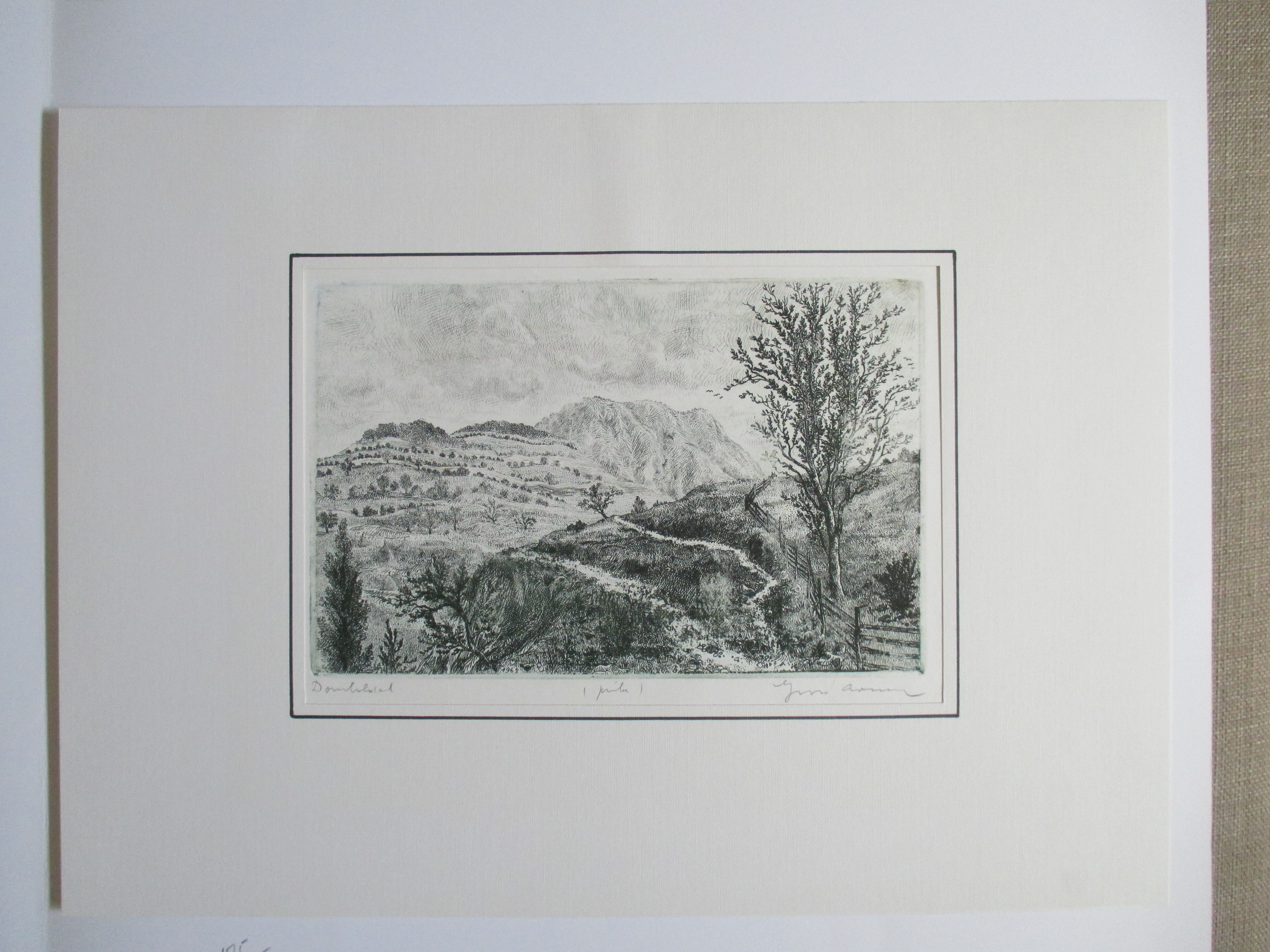 Arnold Gross - Ets landschap kopen? Bied vanaf 40!