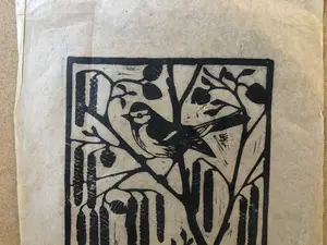 Jac. de Beer - Koolmees met katjes kopen? Bied vanaf 1!