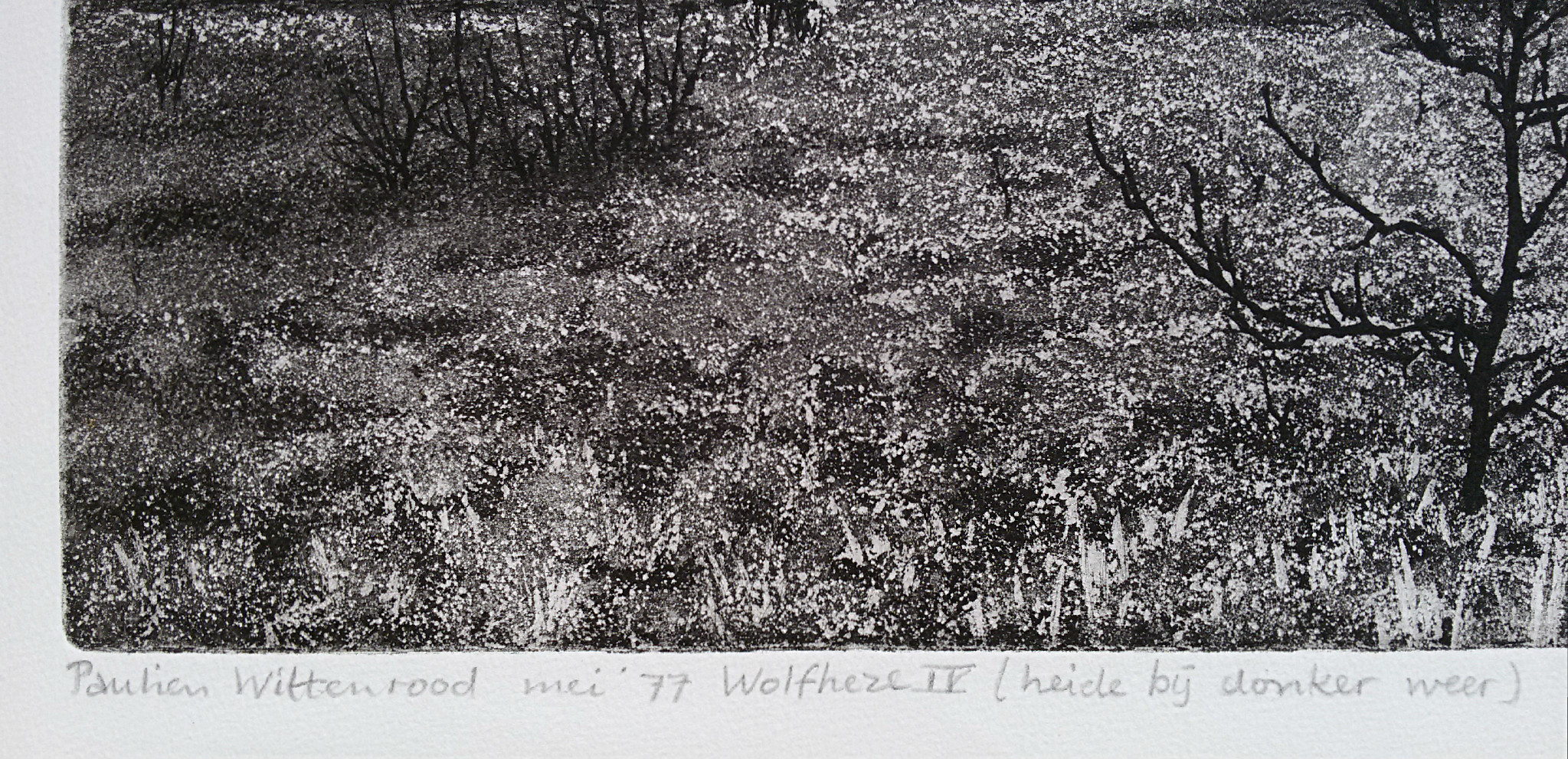 Paulien Wittenrood - Wolfheze IV (heide bij donker weer), ets kopen? Bied vanaf 30!