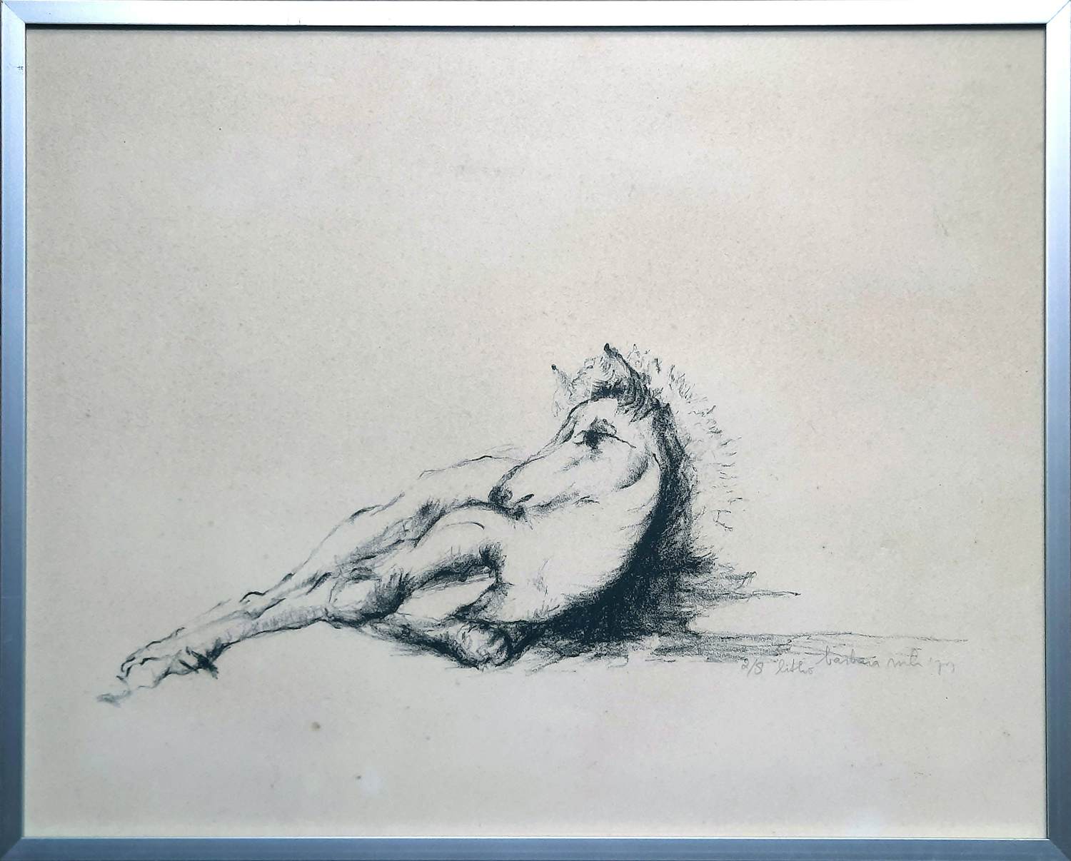 Buy Barbara Jonk - steendruk - kleine oplage - Liggend veulen 2/8 - 25689? Bid from 40!