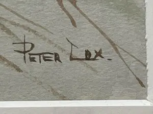 Peter Cox - Bloemen kopen? Bied vanaf 80!