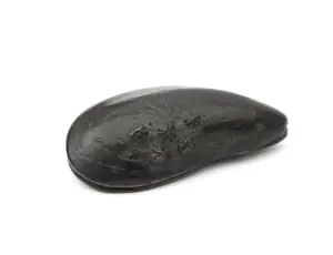 Robbert Jan Donker - Bronzen miniatuur mossel kaufen? Bieten Sie von 150!