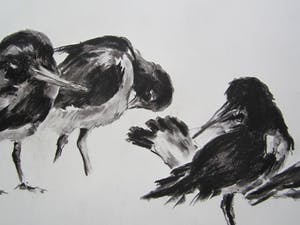 Andre Tigchelaar - Scholeksters kopen? Bied vanaf 20!