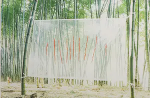 Jean Ruiter - Foto, Bamboebos - Ingelijst kopen? Bied vanaf 50!