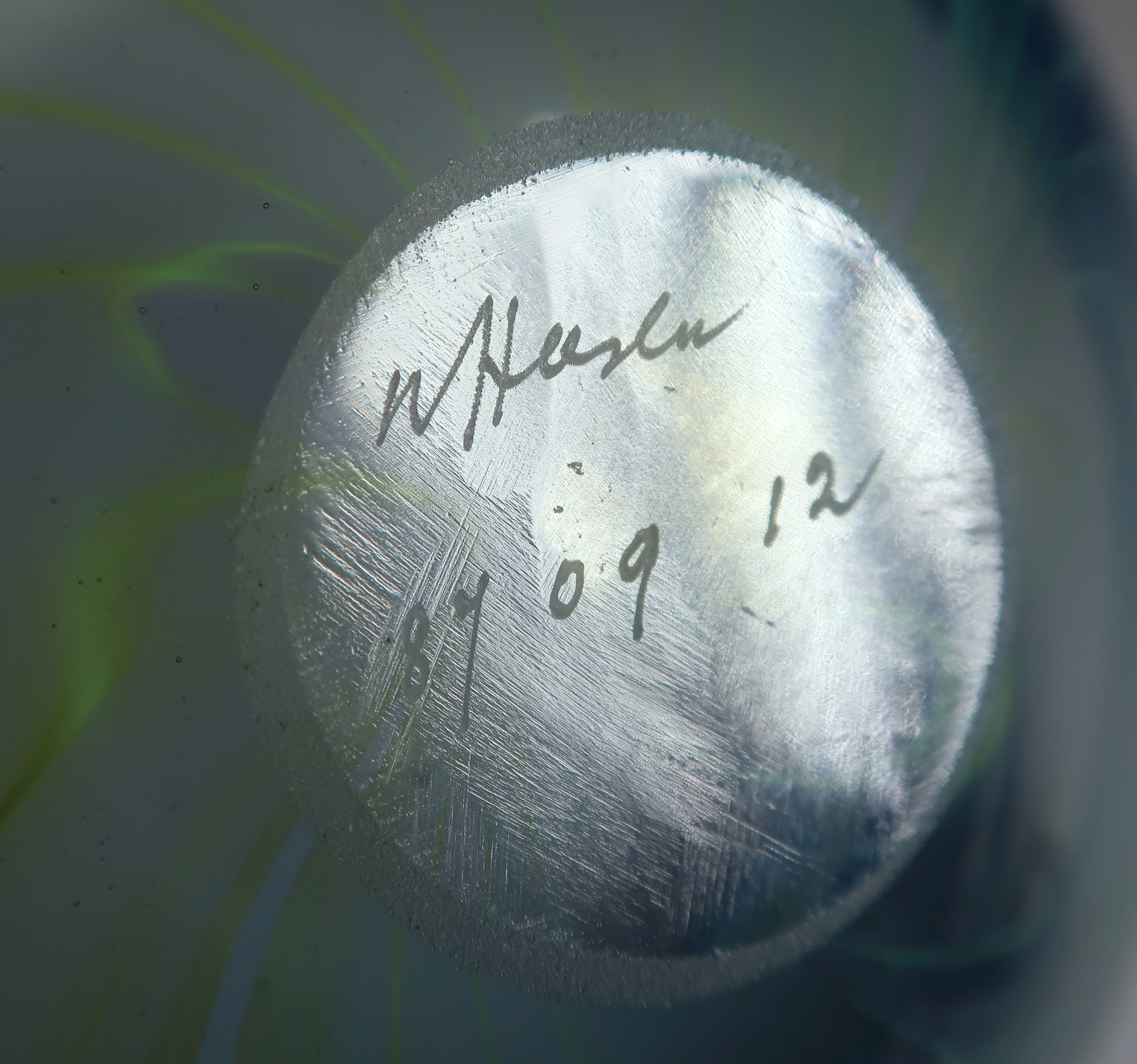 Willem Heesen - Glas, unica blauwe en groene schaal kopen? Bied vanaf 250!