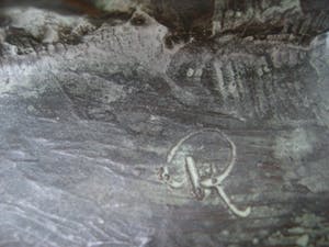 Roel Bendijk - "Dammers" kopen? Bied vanaf 250!