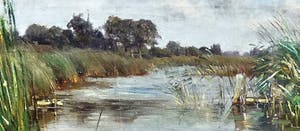 Willem Roelofs (jr.) - Gezicht op water met riet kopen? Bied vanaf 400!