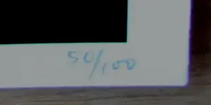 Death NYC - Zeefdruk: Kate Moss Tatoo red - 2015 kopen? Bied vanaf 60!