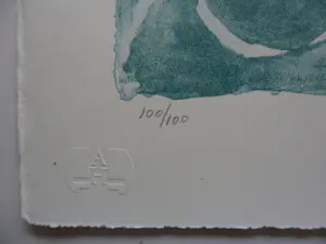 Ada Breedveld - Litho, Titel, Sea Woman kopen? Bied vanaf 50!