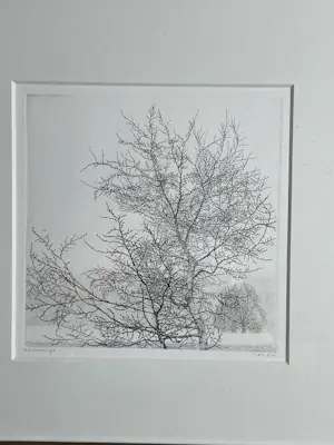 Reinder Homan - Bomen kopen? Bied vanaf 75!