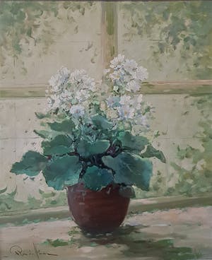 Rob de Haan - Stilleven hortensia in pot kopen? Bied vanaf 95!