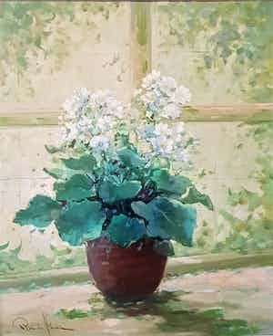 Rob de Haan - Stilleven hortensia in pot verkocht voor € 95!