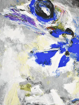 Charlotte Molenkamp - Vogel & Vis kopen? Bied vanaf 100!