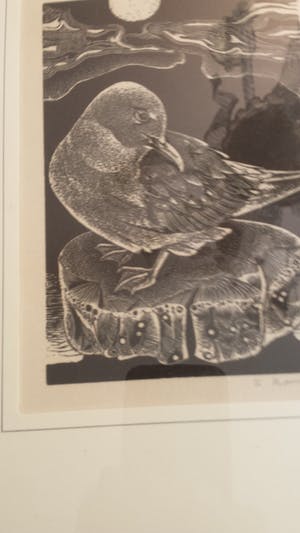 Renaat Bosschaert - 5 houtgravuren kopen? Bied vanaf 100!