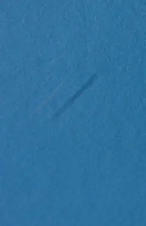 Marco Kooiman - Zeefdruk, Drinking Oxen - Ingelijst kopen? Bied vanaf 60!