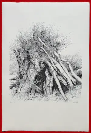 Patrick Creyghton - Wilg met boomstammen, litho kopen? Bied vanaf 50!