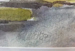 Toon de Haas - Landschap. Texel? kopen? Bied vanaf 20!