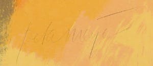 Peter Meijer - Zeefdruk, Oqives - Ingelijst (Groot) kopen? Bied vanaf 50!