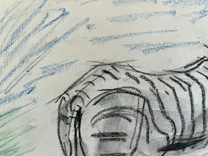 Cornelis Jan Mension - Tekening van een zebra, gemaakt in Artis kopen? Bied vanaf 80!