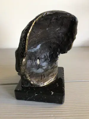 Astrid Veldhuyzen-Koppen - “ Verschillen die verbinden “ kopen? Bied vanaf 99!