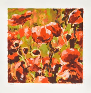 Henri Hess - Klaprozen kopen? Bied vanaf 5!