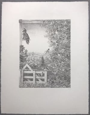 Peter Vos - Verte - gesigneerde litho kopen? Bied vanaf 250!