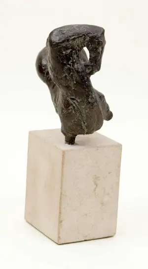 Felix van der Linden - Bronzen paard genaamd Force kopen? Bied vanaf 375!