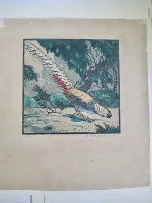 Niet of onleesbaar gesigneerd - 19 diverse vogelvoorstellingen kopen? Bied vanaf 1!