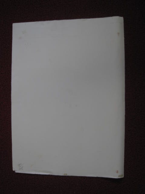 Manuel Menan - Madrileens Graficus - "Naakt voor open Raam" Zeer beperkte Oplage (25) kopen? Bied vanaf 1!