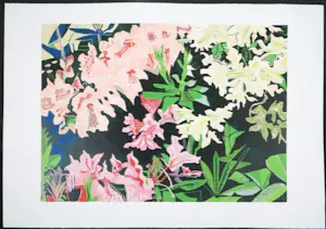 Vincent van Ojen - houtsnede van rhododendrons (groot) kopen? Bied vanaf 90!