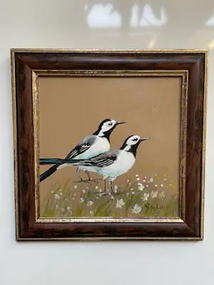 Henk Poeder - Witte kwikstaarten kopen? Bied vanaf 69!