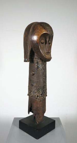 Fang - Hout en slangenleer, Buste kopen? Bied vanaf 1!