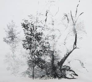 Jaap Kruijff - Litho, Jonge kastanjeboom kopen? Bied vanaf 1!